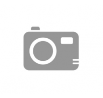 Samsung Galaxy A56 Enterprise Edition 256 GB